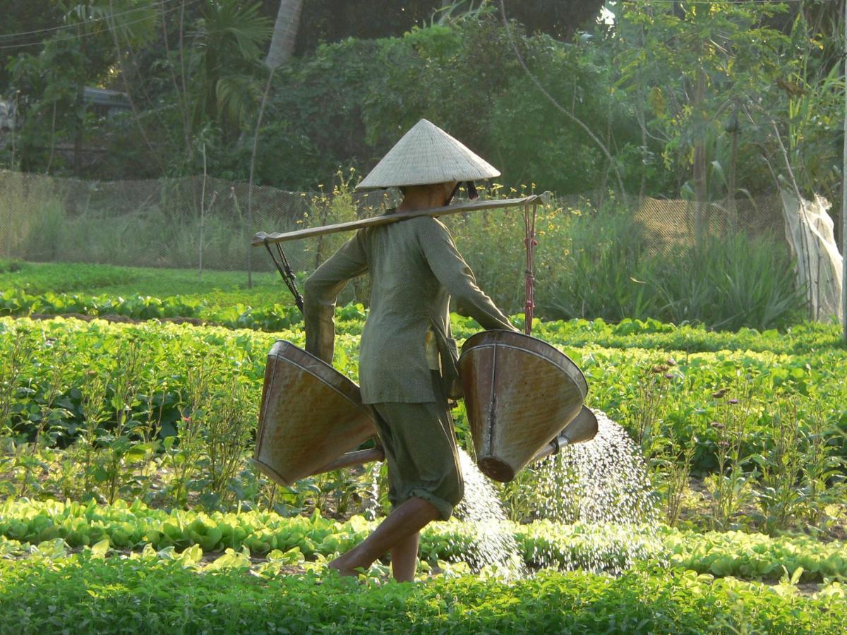 Sunny Riverside Homestay Hoi An Exterior foto